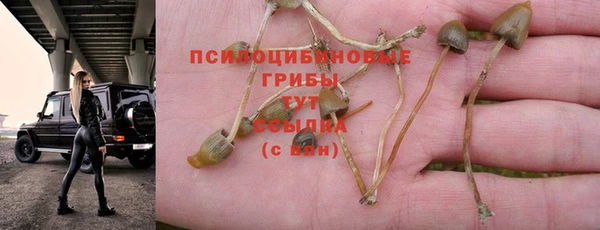 ГАЛЛЮЦИНОГЕННЫЕ ГРИБЫ Алзамай