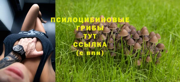 тгк Алексеевка