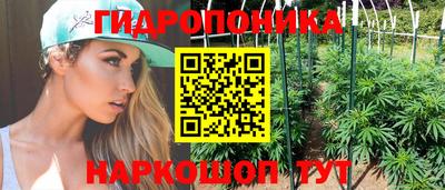 индика Конаково