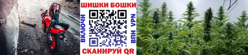 Марихуана сатива  Камышин 
